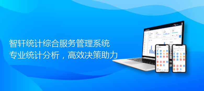 统计综合服务管理系统